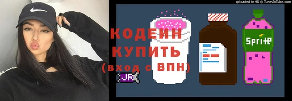 ПСИЛОЦИБИНОВЫЕ ГРИБЫ Арсеньев