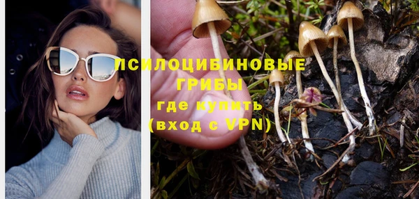 ПСИЛОЦИБИНОВЫЕ ГРИБЫ Арсеньев