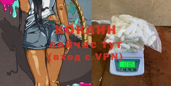 ПСИЛОЦИБИНОВЫЕ ГРИБЫ Арсеньев