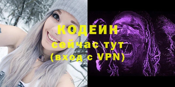 ПСИЛОЦИБИНОВЫЕ ГРИБЫ Арсеньев