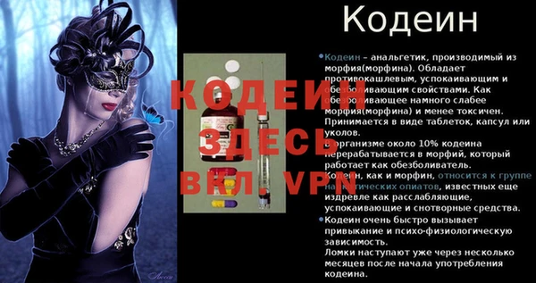 ПСИЛОЦИБИНОВЫЕ ГРИБЫ Арсеньев