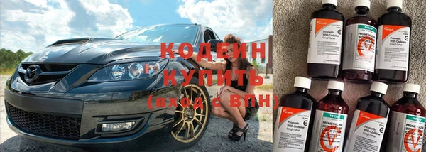 ПСИЛОЦИБИНОВЫЕ ГРИБЫ Арсеньев