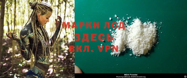 ПСИЛОЦИБИНОВЫЕ ГРИБЫ Арсеньев