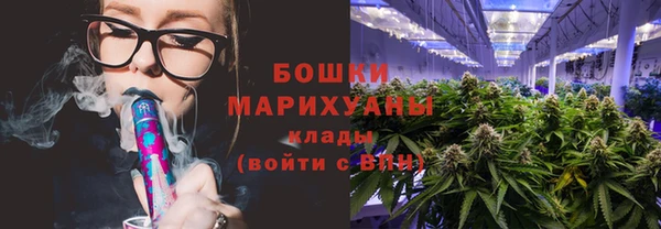 ПСИЛОЦИБИНОВЫЕ ГРИБЫ Арсеньев
