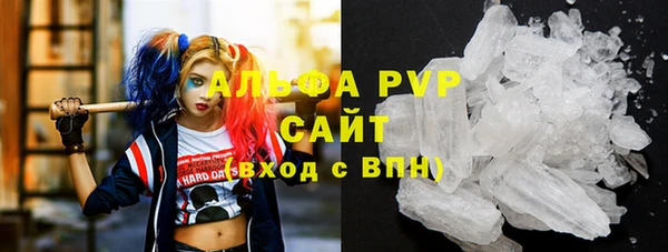 шишки Аркадак